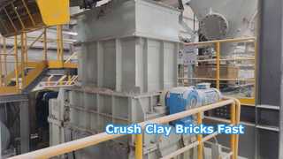 দাঁত রোলার পেষণকারী